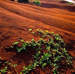 夏日游戏节：《三角洲行动》新预告 7月全球PC测试